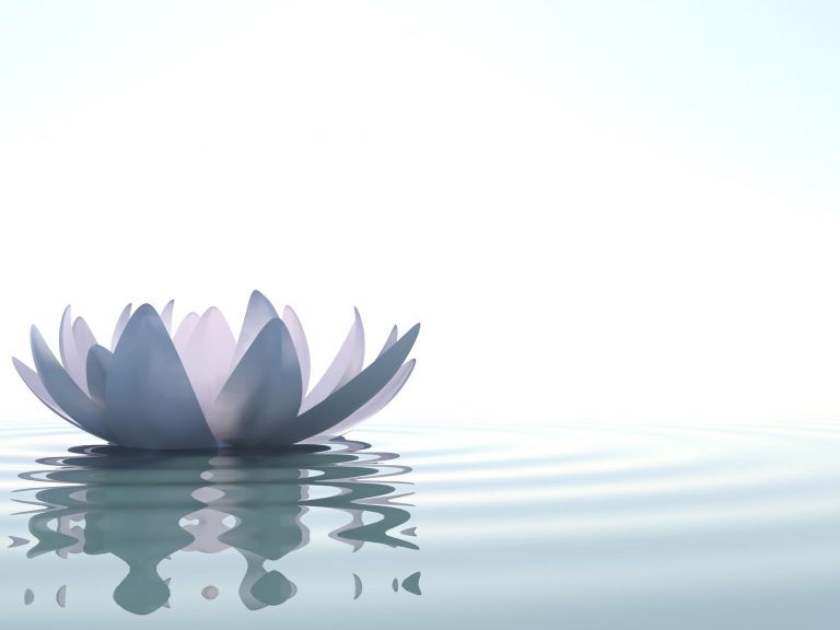 cc_comunicacaocompassiva