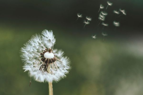 workshop-espiritualidade-CP-fundo-6wb37p5lrjbvgseoi4jqmh1jptxwptz82xc384894sw