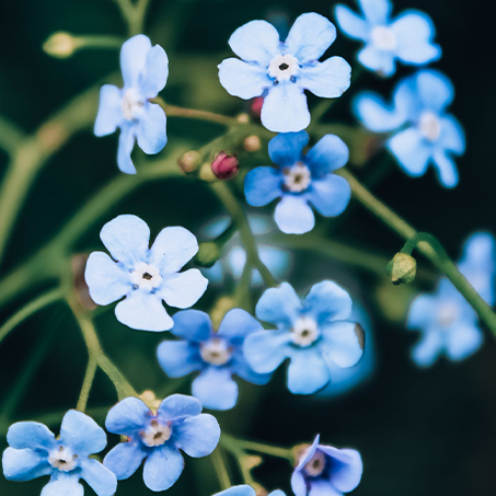 10h – Novembro azul, câncer e Cuidados Paliativos