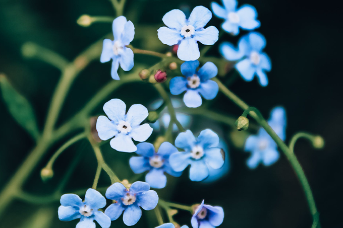 10h – Novembro azul, câncer e Cuidados Paliativos